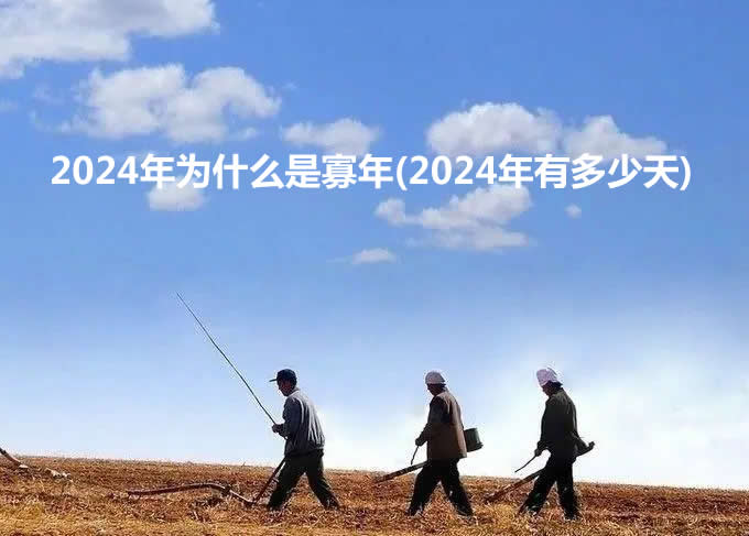 2024年为什么是寡年(2024年有多少天)