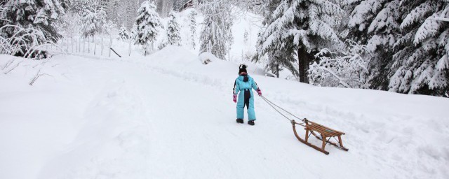 滑雪杖和登山杖区别(登山杖和雪杖有区别吗)