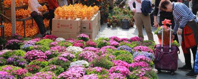 花瓶里鲜花需要换水吗(鲜花放瓶子里用天天换水吗)