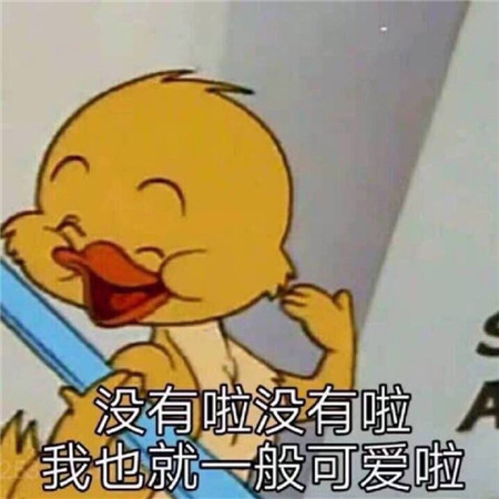 微信朋友圈背景图搞笑逗比 只许聪明不许绝顶