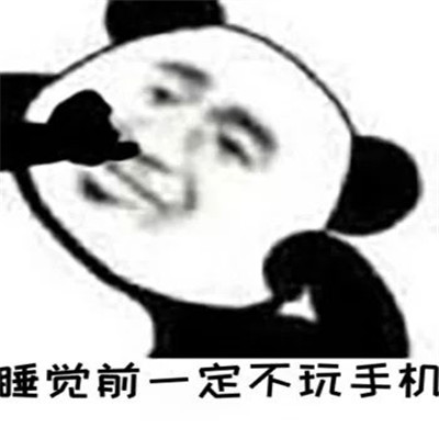 我在床上的话千万别当真表情包大全 超搞笑熊猫人聊天表情包