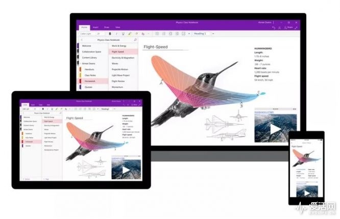 桌面版OneNote 2016死而复生，微软又自裁UWP努力