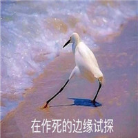 在边缘试探系列表情包大全 在违法的边缘试探表情原图包