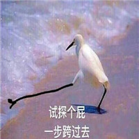 在边缘试探系列表情包大全 在违法的边缘试探表情原图包