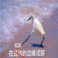 在边缘试探系列表情包大全 在违法的边缘试探表情原图包