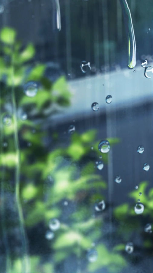 下雨天的风景图片壁纸 却如何一夕桃花雨下