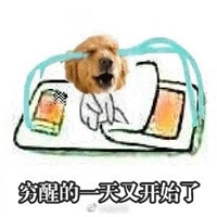 2019双十一困难群众专用表情包 ​贫穷和单身却可兼得