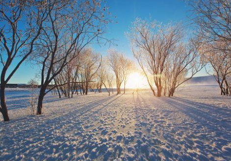 下雪天的微信个性签名唯美好听 2019最新下雪后浪漫签名大全