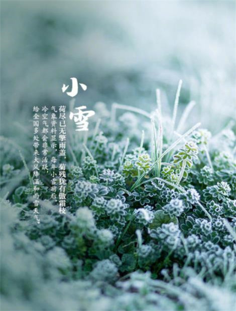 小雪节气风景图片大全带字 2019小雪节气朋友圈配图唯美