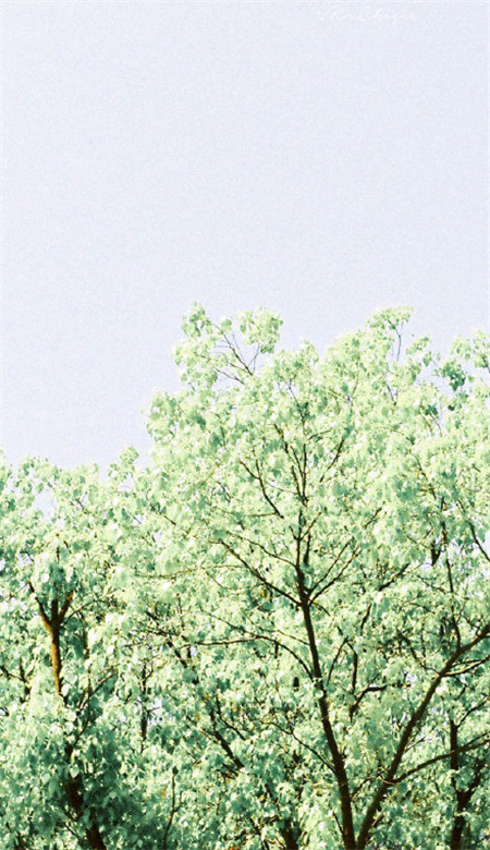 治愈系自然风景壁纸图片高清 夏日清新风景手机壁纸