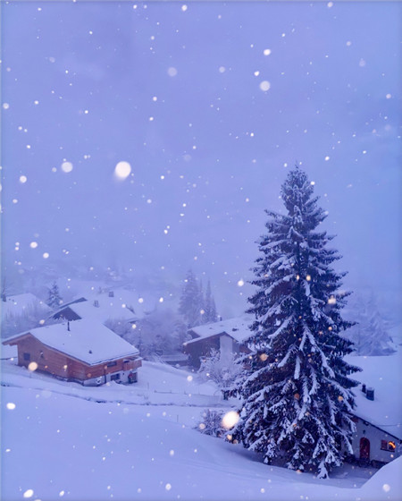 雪景图片大全唯美意境 大雪纷飞图片美景