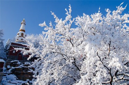 颐和园雪景图片大全真实好看 北京下雪风景图片