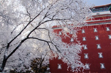 颐和园雪景图片大全真实好看 北京下雪风景图片