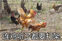 鸡年专用斗图表情 连鸡听了都要打架