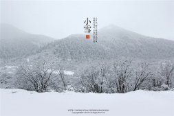 最新版的小雪节气风景图片素材大全 一片飞来一片寒