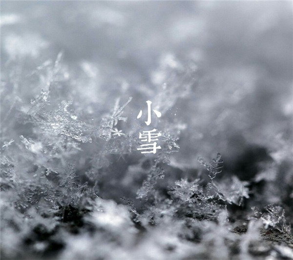 最新版的小雪节气风景图片素材大全 一片飞来一片寒