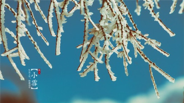 最新版的小雪节气风景图片素材大全 一片飞来一片寒