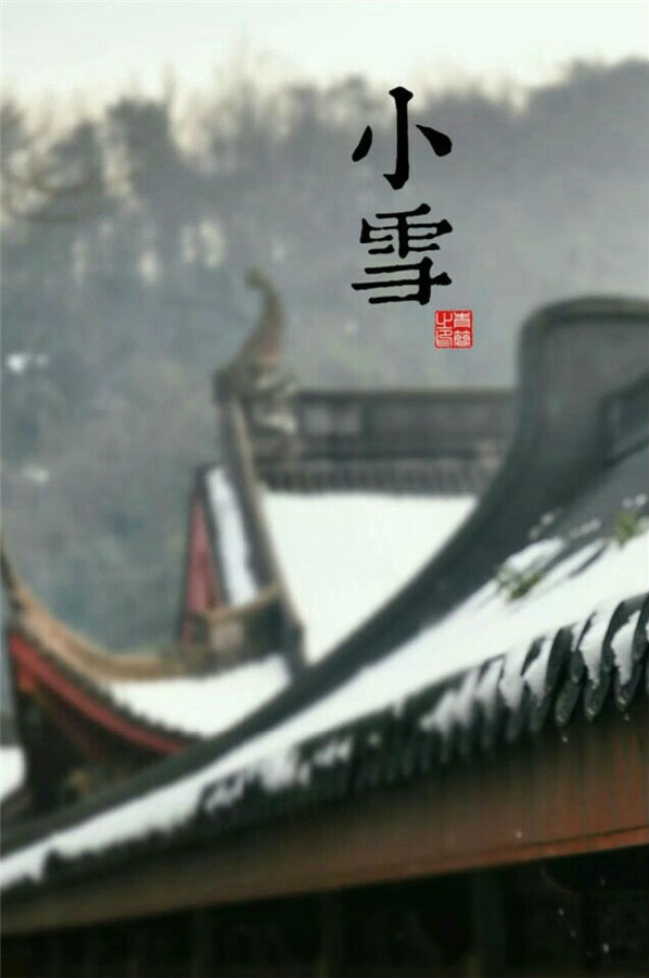 最新版的小雪节气风景图片素材大全 一片飞来一片寒