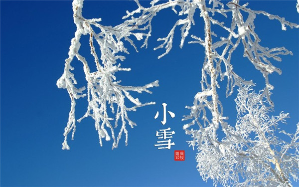 最新版的小雪节气风景图片素材大全 一片飞来一片寒