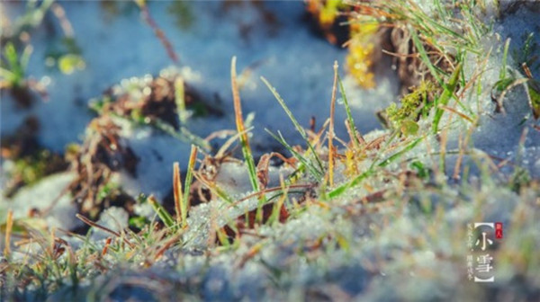 最新版的小雪节气风景图片素材大全 一片飞来一片寒