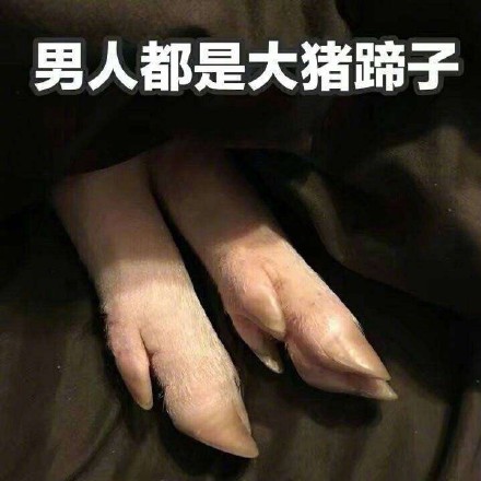 大猪蹄子是什么梗 大猪蹄子是什么意思