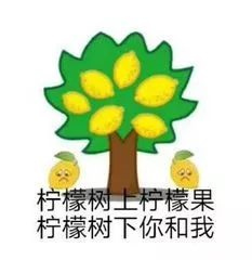 微信搜一搜推出2019年度表情包