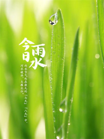 2020雨水带字图片唯美高清 雨水微信朋友圈配图