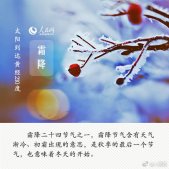 2020有关霜降的图片带字 霜降节气的图片大全