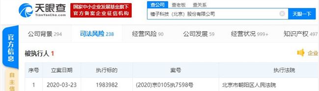 锤子科技成被执行人 执行标的近200万