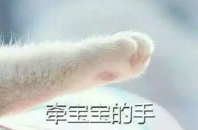 比较可爱的猫爪牵手表情包全套 签宝宝的手