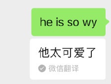 输入she is so什么意思 微信she is so什么梗