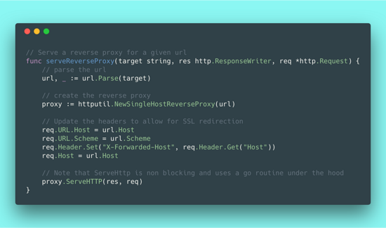 1行Go代码实现反向代理的示例