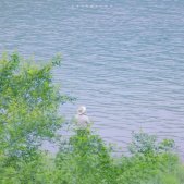 夏日唯美风景头像清爽有意境 漂亮的风景头像图片高清