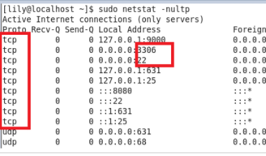 LINUX中如何查看某个端口是否被占用的方法