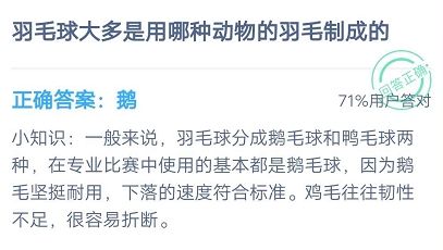 羽毛球大多是用哪种动物的羽毛制成的？小鸡宝宝考考你今天答案