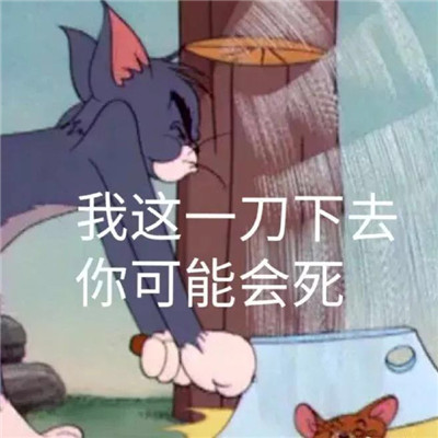 最新一组猫和老鼠的暴走可爱的表情包 ​​​明明失望透顶还继续喜欢你