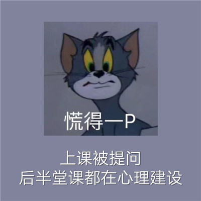 经典的猫和老鼠社交恐惧表情包 当代社恐的九大噩梦