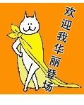 全是猫带字表情 搞笑聊天表情