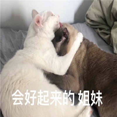 最新的热门猥琐QQ表情包 一波有热度的表情