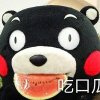 熊本熊表情包微信专属 日本熊本熊表情聊天表情带字