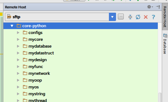 python使用PyCharm进行远程开发和调试
