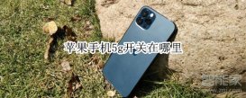 苹果手机5g开关在哪里 iPhone如何设置5g网络