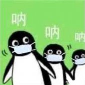 suica企鹅可爱的微信表情包 充满欢乐的可爱微信表情