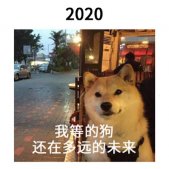 2021一组跨年的搞笑表情包 跨过的都会实现的