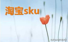 sku是什么意思（如何设置产品的sku）