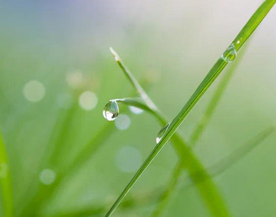 二十四节气雨水的早安说说 2021雨水节气发朋友圈的祝福语