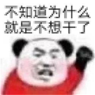 漂亮宝贝不干了热门聊天表情包 很热门的有趣微信表情