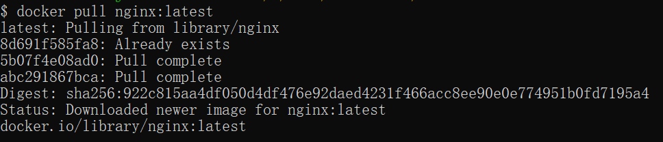 Docker 如何安装 Nginx