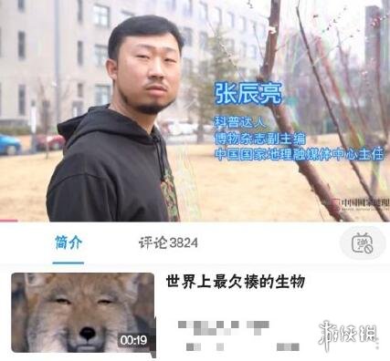 无穷小亮是谁?无穷小亮藏狐是什么梗?无穷小亮张辰亮个人资料