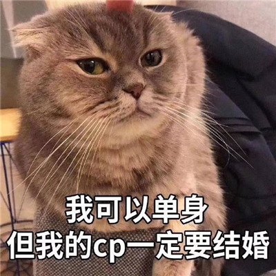 热门磕cp的搞笑表情包最新 我可以不结婚但是我的cp一定要结婚